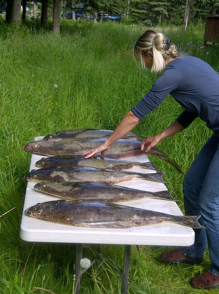 Fish Processing Oelrichs on the Kenai River